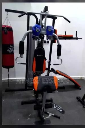 Classic Three Station Gym
