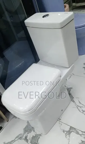 Water Closet With Wash Hand Basin Available With Warranty
