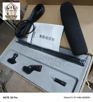 Panasonic Condenser Microphone Long One