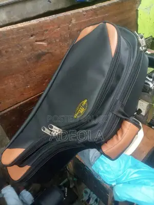 Professional Padded Saxophone Bag