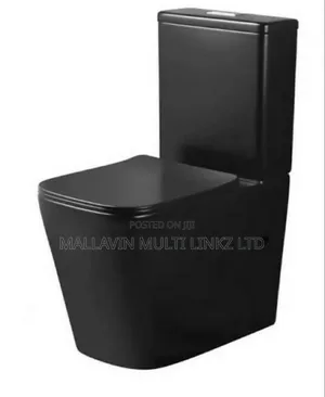 Executive Black Toilet Seats (Wc)