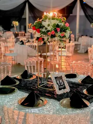 Event Sound, Light, Stage, Screen, Special Effect