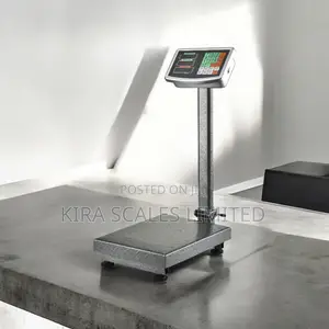 High Quality Ricool Camry Digital Platform Scale 300kg