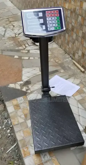 High Quality Ricool Camry Digital Platform Scale 300kg