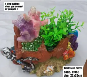 Bubble Coral Reef