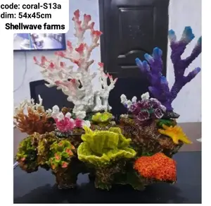 Coral Reef