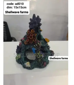 Mini Coral Reef