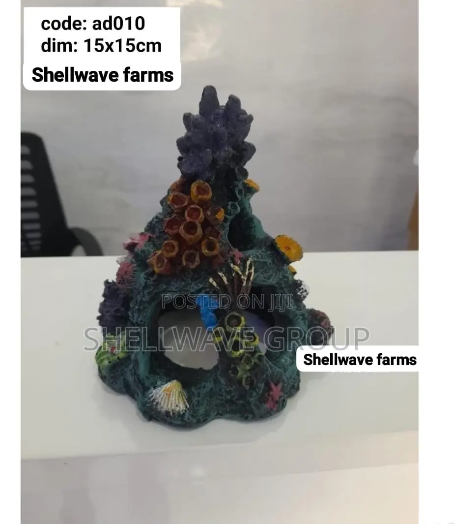 Mini Coral Reef