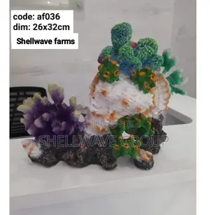 Coral Reef Decor