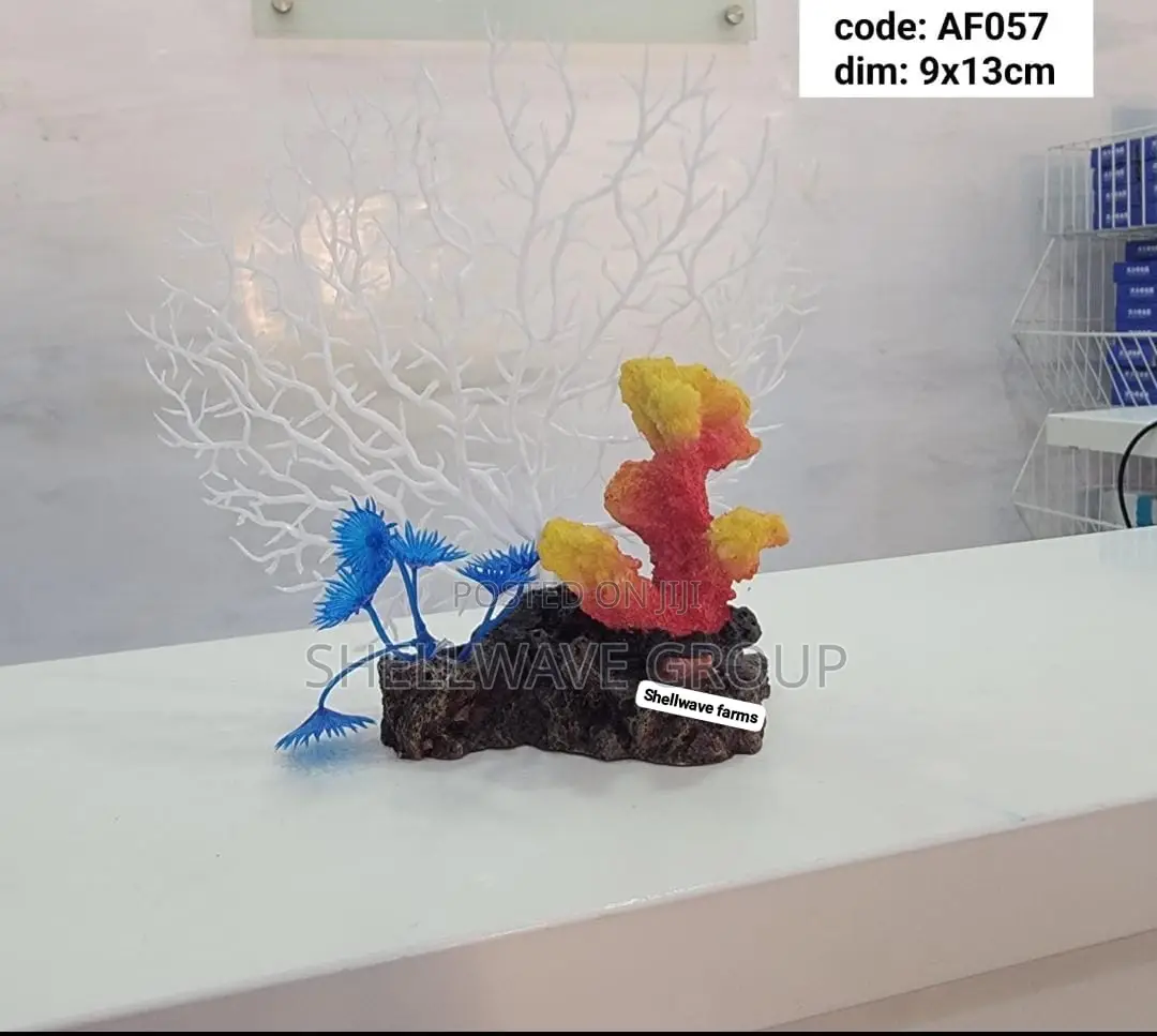 Coral Reef Decor