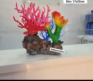 Coral Reef Decoration