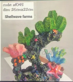 Coral Reef