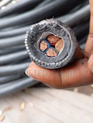 25mmx4core (Bicc) High Quality Electric Power Cable