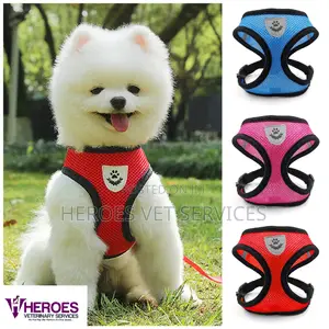 Pet Harness and Leash Set