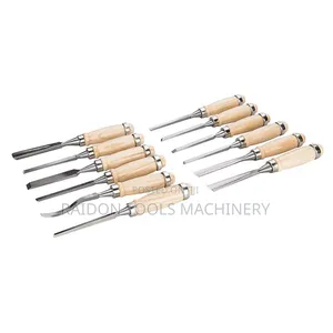 Carving Chisel 12 Piece