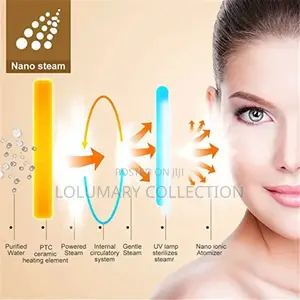 Facial Steamer