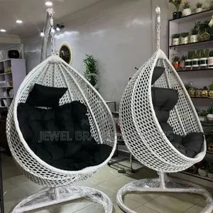 Basket Swing/Hammock