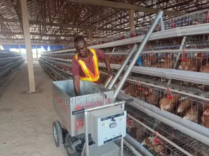 Poultry Batterycage Feeding Trolley