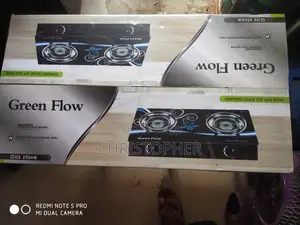 Green Flow Thick Table Glass Auto Ignition 2 Burner Gas Cook
