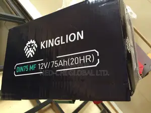 Quality 75ahs Kinglion for Salon Vehicle.