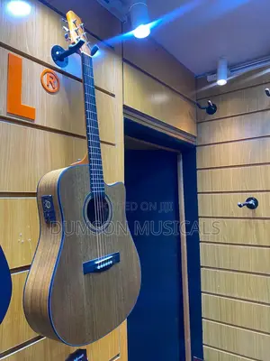 Electroacoustic Guitar  