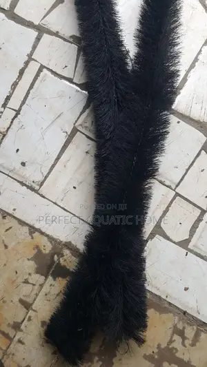 Bio Filter Brush