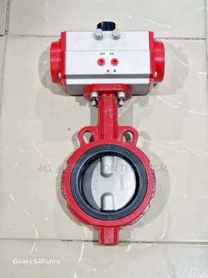 Butterfly Valve DN65 With Pneumatic Actuator Double Acting.