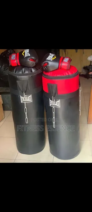 New Everlast Punching Bag and Boxing Gloves 001