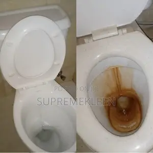 Detailed Toilet Cleaning Service
