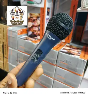 High Quality Peculiar PM-78 Dynamic Wired Microphone