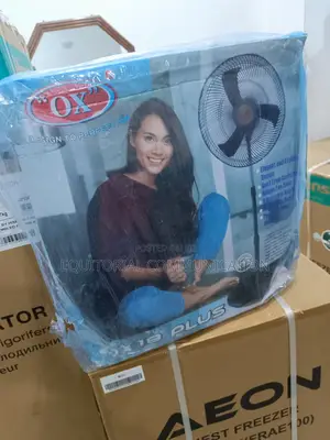 Afforable 18inches OX Wall Fan