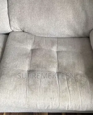 Professional Upholstery Cleaning Service