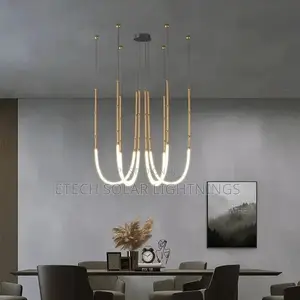 Nordic Designer Led Dropping Chandelier Light Fixture
