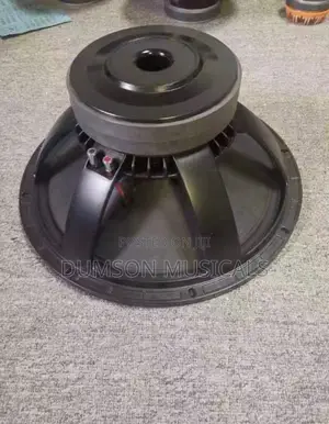 Naked Speaker 18 Inches