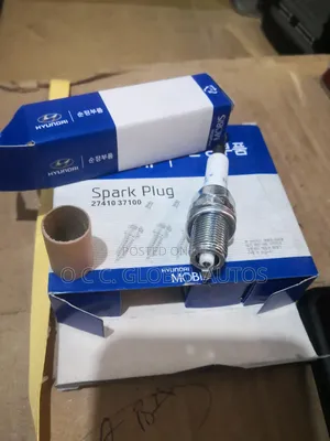Original Plug for Hyundai