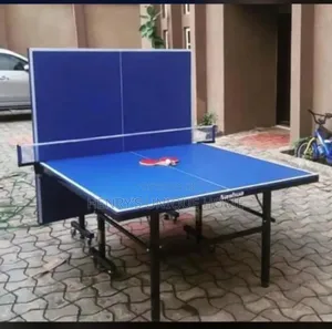 Table Tennis Outdoor Game