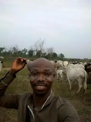 Registered Animal Scientist/Consultant