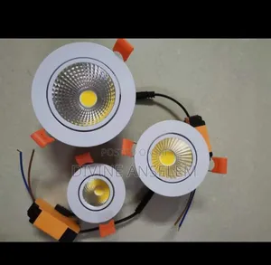 Spot COB Led Light