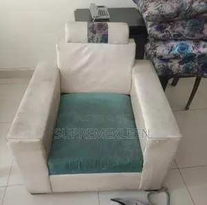 Detailed Sofa Chair Deep Cleaning