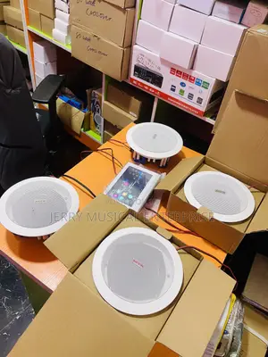 Ceiling Speakers With 7inches in Wall Amplifier