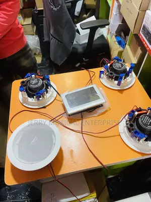 Wi-Fi 2zone Ceiling Speakers With in Wall Amplifier