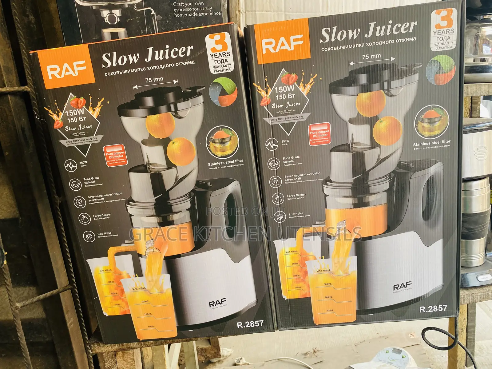 RAF Slow Masticating Juice Extractor