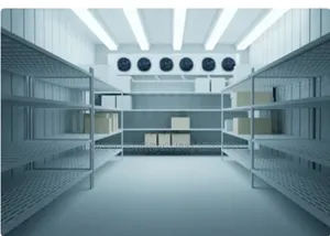 Cold Room Construction