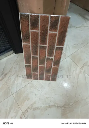 25×50 High Quality Nigeria Outside Wall Tiles