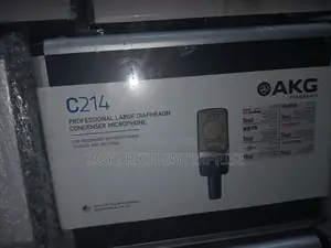 AKG Microphone