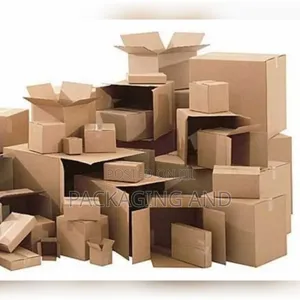 Different Types of Carton