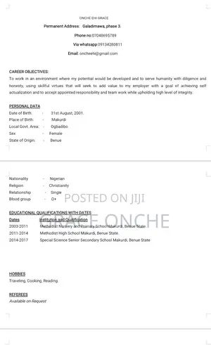 Construction Skilled Trade CV