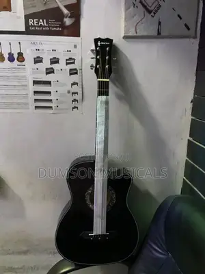 Acoustic Box Guitar