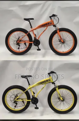 Commercial Manual Bike
