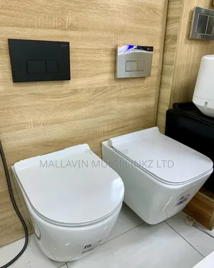 Executive Wall Hung Wc With Conceal Tank